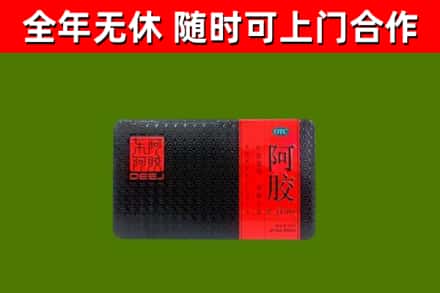 茶山镇回收阿胶